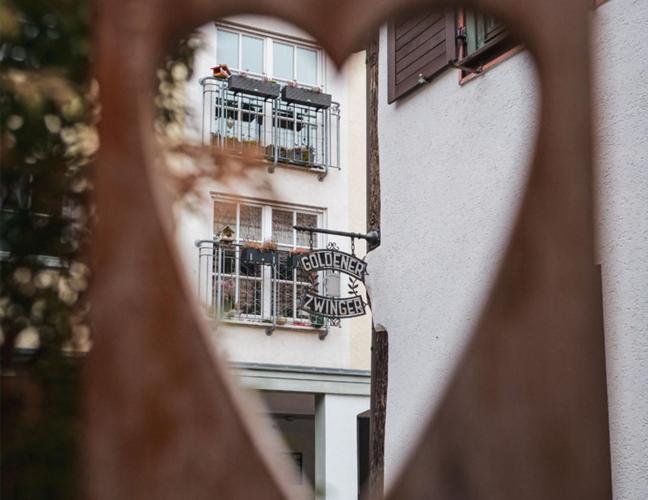 Pension Goldener Zwinger Майнинген Экстерьер фото